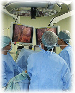 特色その1．腹腔鏡下肝切除術(画像1)