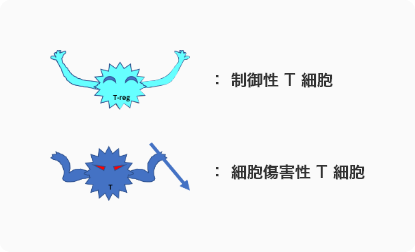 制御性T細胞・細胞傷害性性T細胞のイメージ